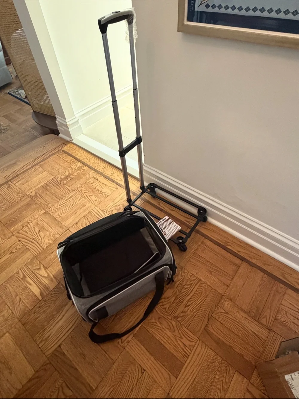 Rolling Gray Pet Carrier Tote with Telescoping Handle